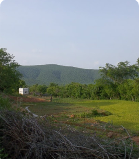 Karanthamalai Hills