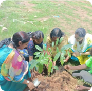 Community forest restoration