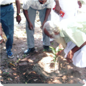 Climate change adaptation